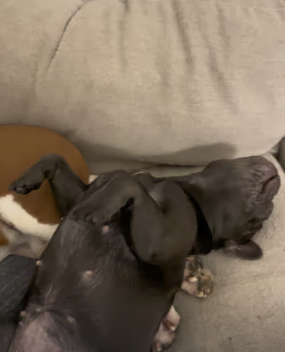 Precious in real life story !